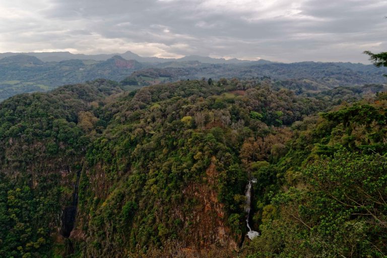 mountainous-forest-with-waterfall-daytime(1)